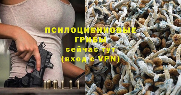 спиды Нефтекумск