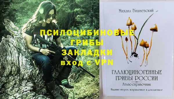 ГАЛЛЮЦИНОГЕННЫЕ ГРИБЫ Нефтегорск