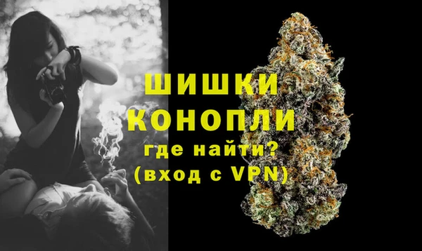 спиды Нефтекумск