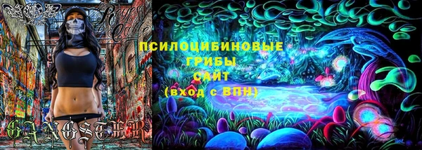 спиды Нефтекумск