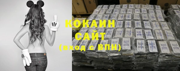бошки Нея