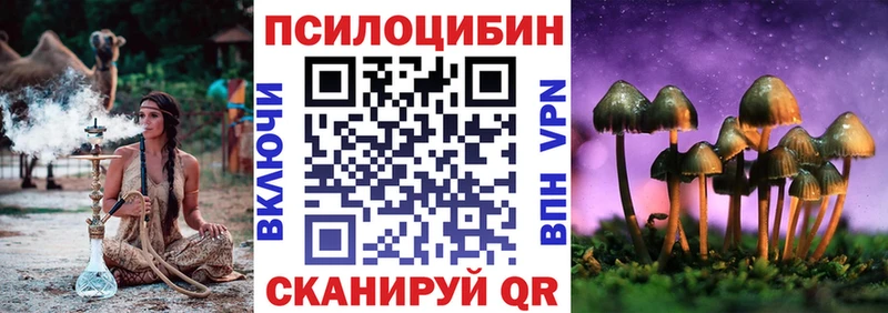 купить наркотики сайты  Тырныауз  Псилоцибиновые грибы Psilocybe 