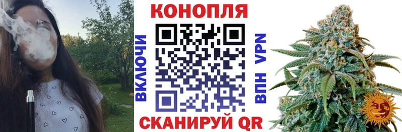 Бошки Шишки MAZAR  Тырныауз 